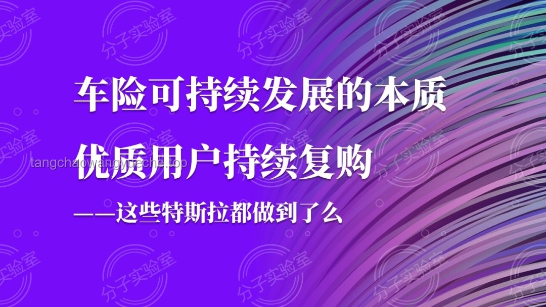 马斯克决心领航特斯拉：领导力、坚持与未来的启示